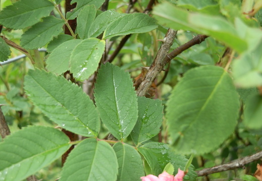 P7144760