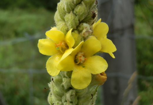 P7144762
