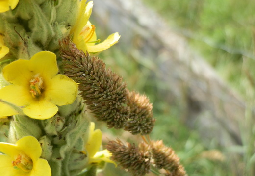 P7144767