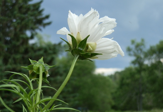 P7144771