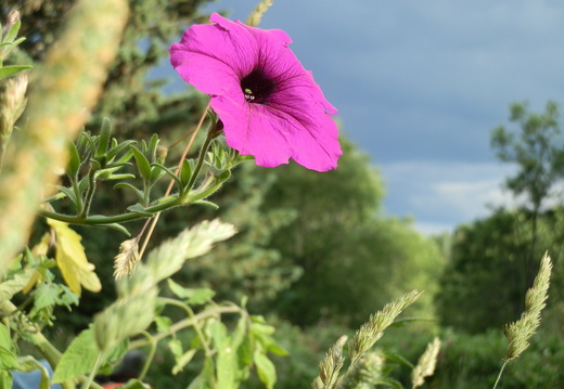 P7144775