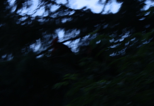 P7144793