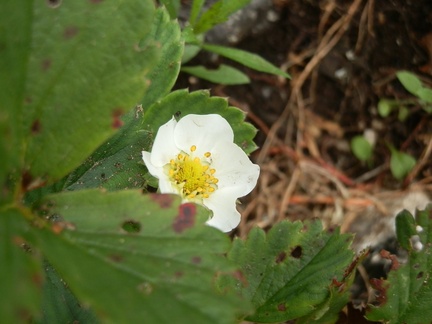 P7164917