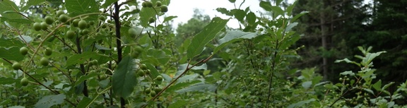 P7175070