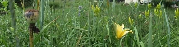 P7175085