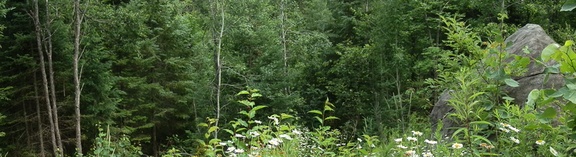 P7215298
