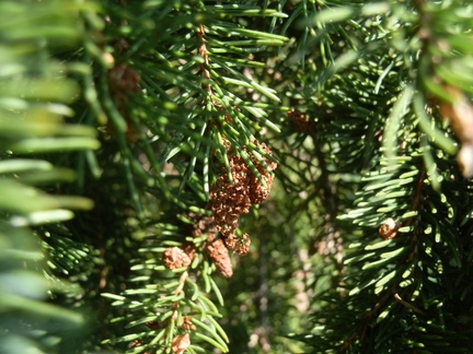 P7215259