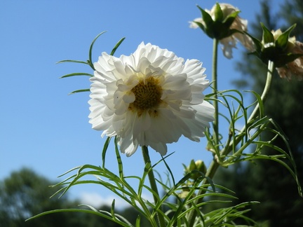 P7225347