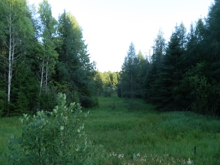 P7265595