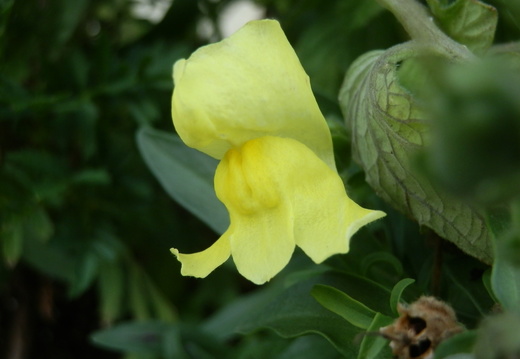 P7305763