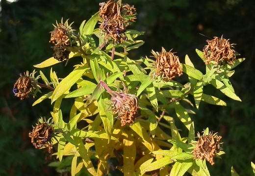 PB073052