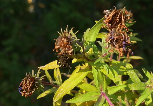 PB073057