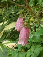 PA041469