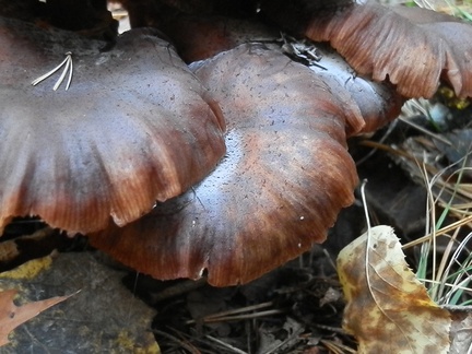 PA192559