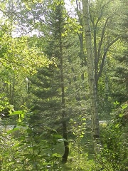 P9049014