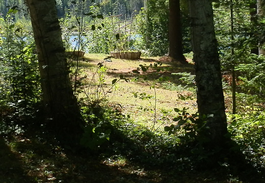 P9160129