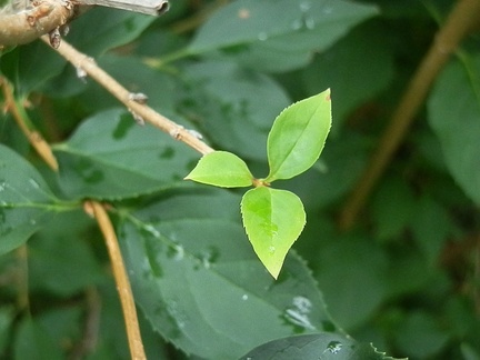 P9260498
