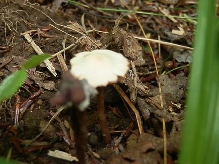 P9290606