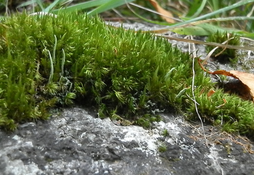 P9290888
