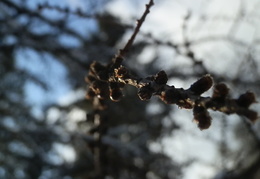 P2115034