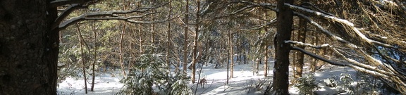 P1023895