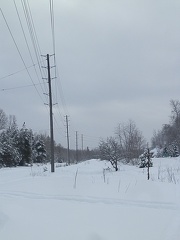 P1054157