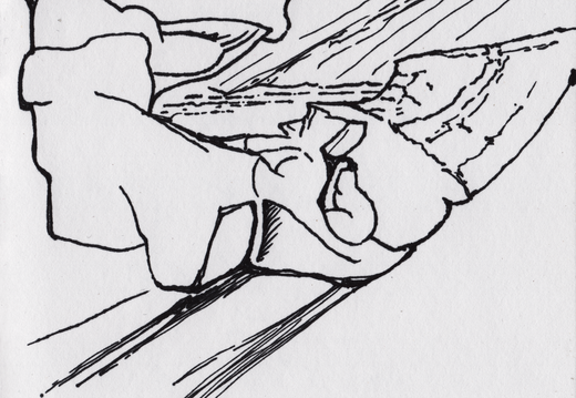 2015book34 (481 visits) 2015book34