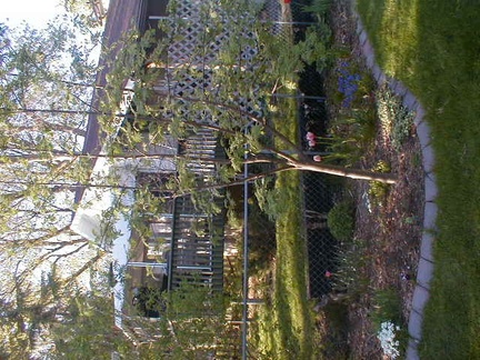 p1010070