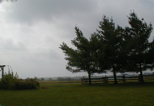 IMAGE024 (765 visits) IMAGE024