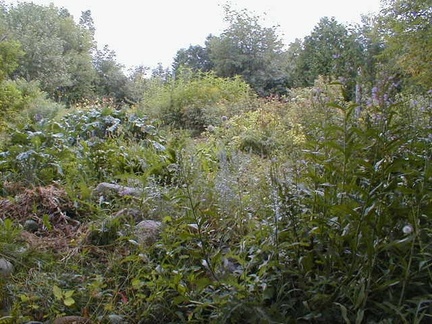 p8180008