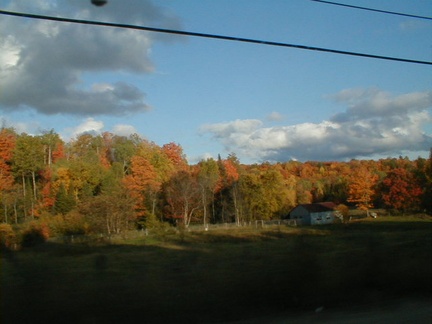IMAGE036