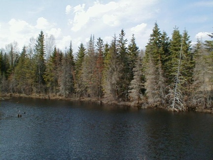 IMAGE002