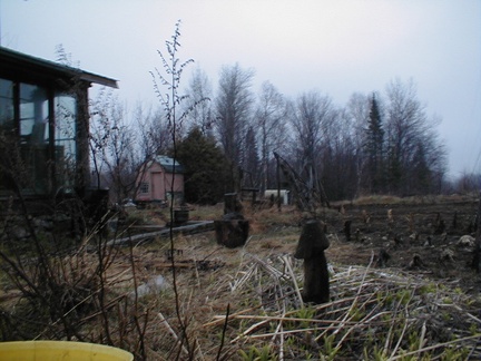 IMAGE006