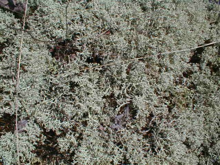 IMAGE054