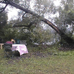 2006