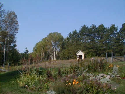IMAGE003