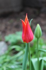 IMG_1171.CR2