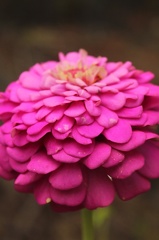 IMG_4108.CR2