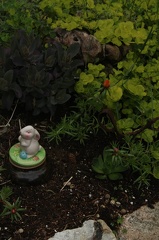 IMG_5246.CR2