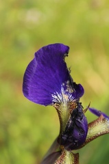 IMG_5784.CR2